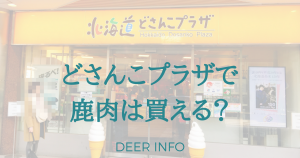 北海道どさんこプラザで鹿肉は買えるのか？行ってみた