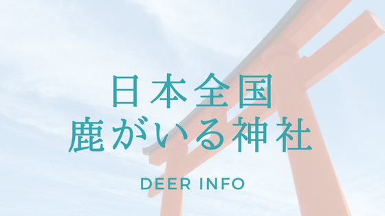 日本全国鹿がいる神社