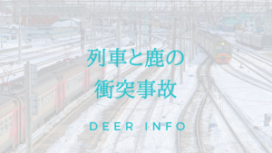 列車と鹿の衝突事故