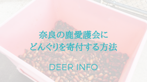 奈良の鹿愛護会にドングリを寄付する方法